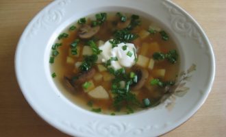 Грибной суп из свежих шампиньонов