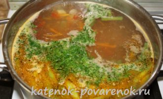 Суп с куриным филе и зеленой фасолью – шаг 17