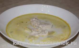 Нежный сливочный суп с куриным филе – шаг 19